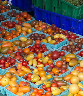 Vassoio per alimenti in plastica