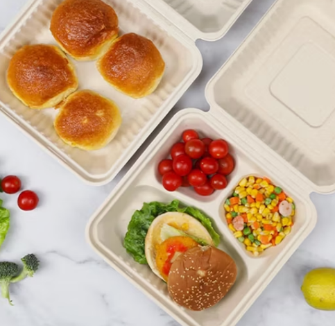 I contenitori per alimenti in plastica con guarnizioni in silicone ermetiche offrono una migliore conservazione degli alimenti rispetto ai contenitori sigillati interamente in plastica?